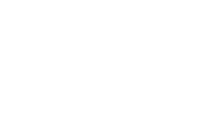 sponsor