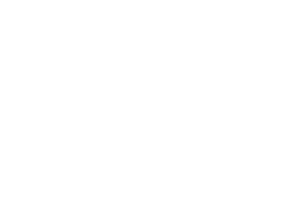 sponsor