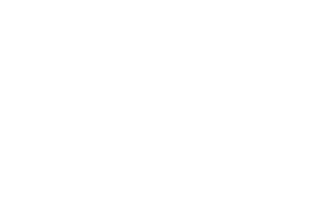 sponsor