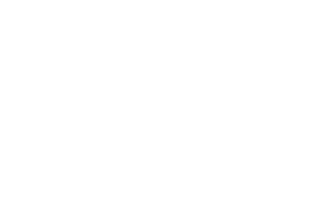 sponsor
