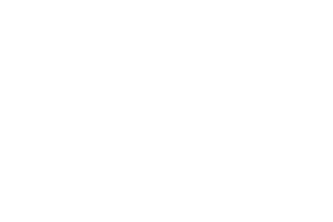 sponsor