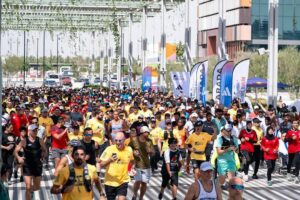 WLWR 2024 Our Work Post Image